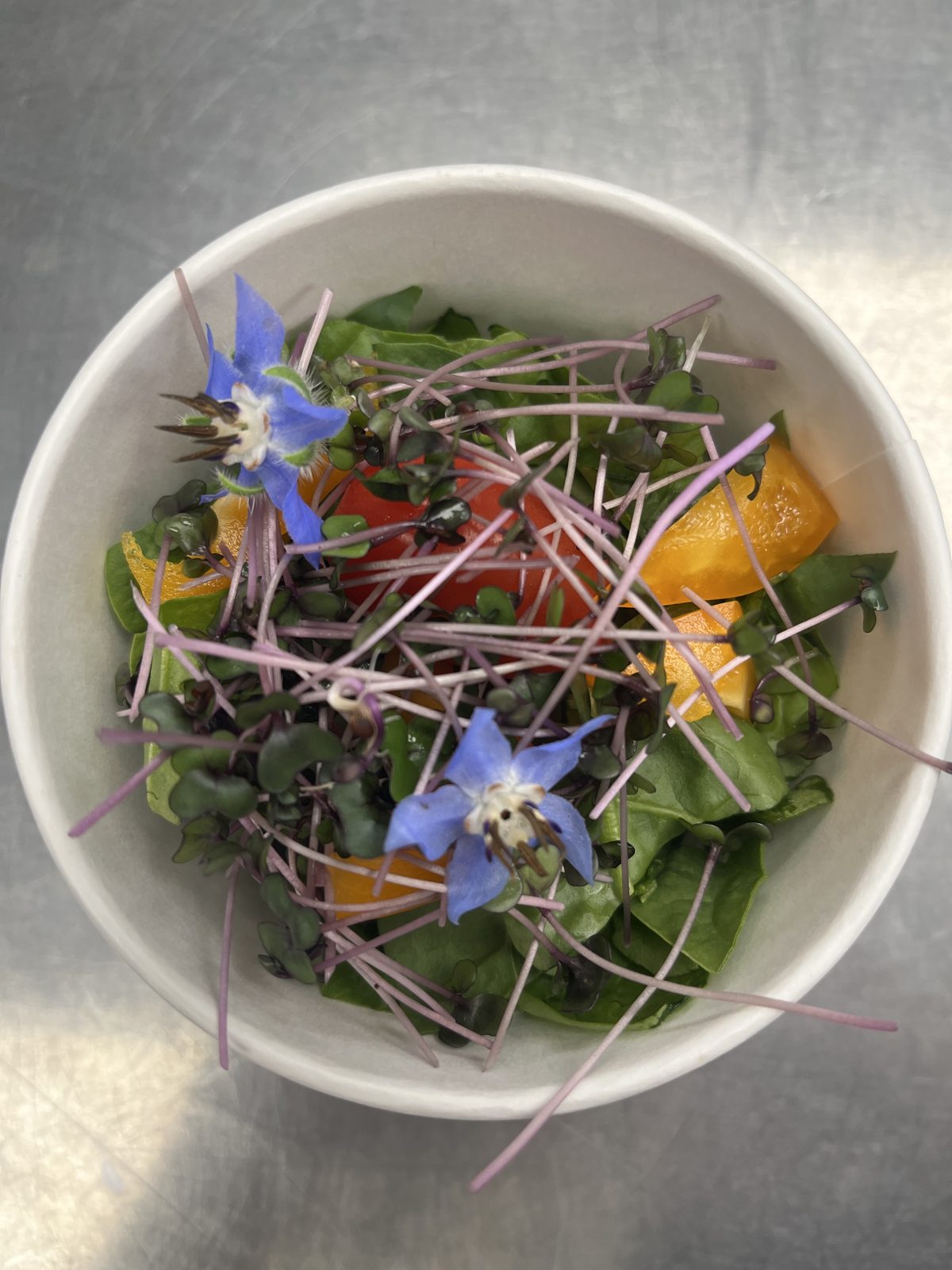 A fresh salad of greens, peppers, tomato and microgreens topped with edible flowers